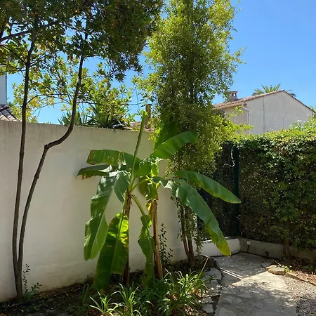 Butterfly - Family With Garden Near Juan-les-Pins