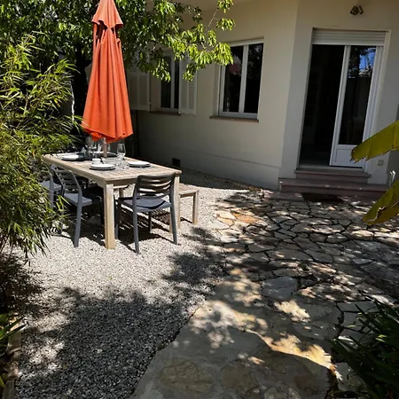 Butterfly - Family With Garden Near